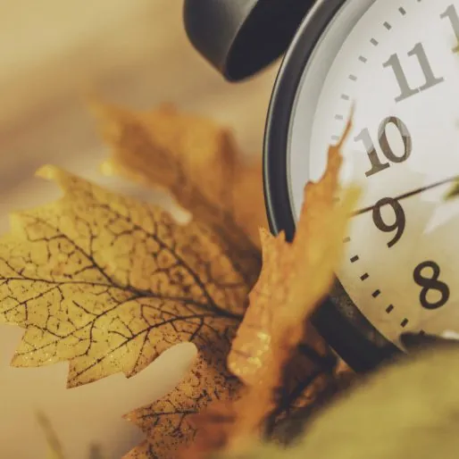 fraud prevention and awareness western union